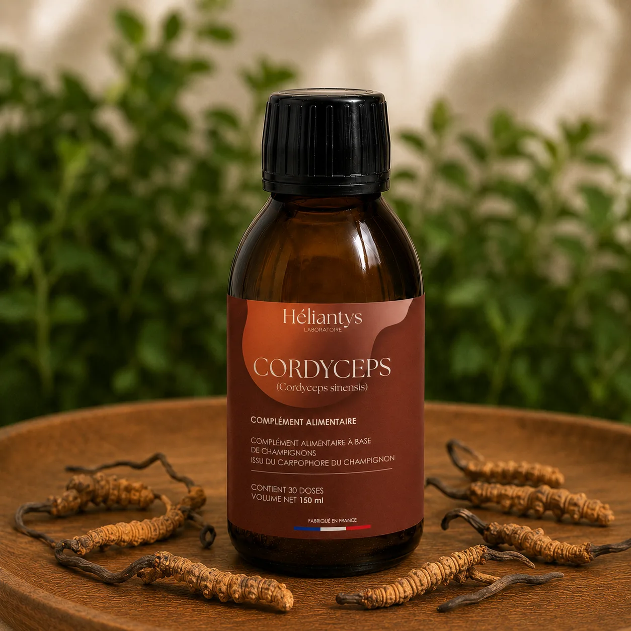 Cordyceps : le champignon de l'énergie et de l'endurance — vue 1