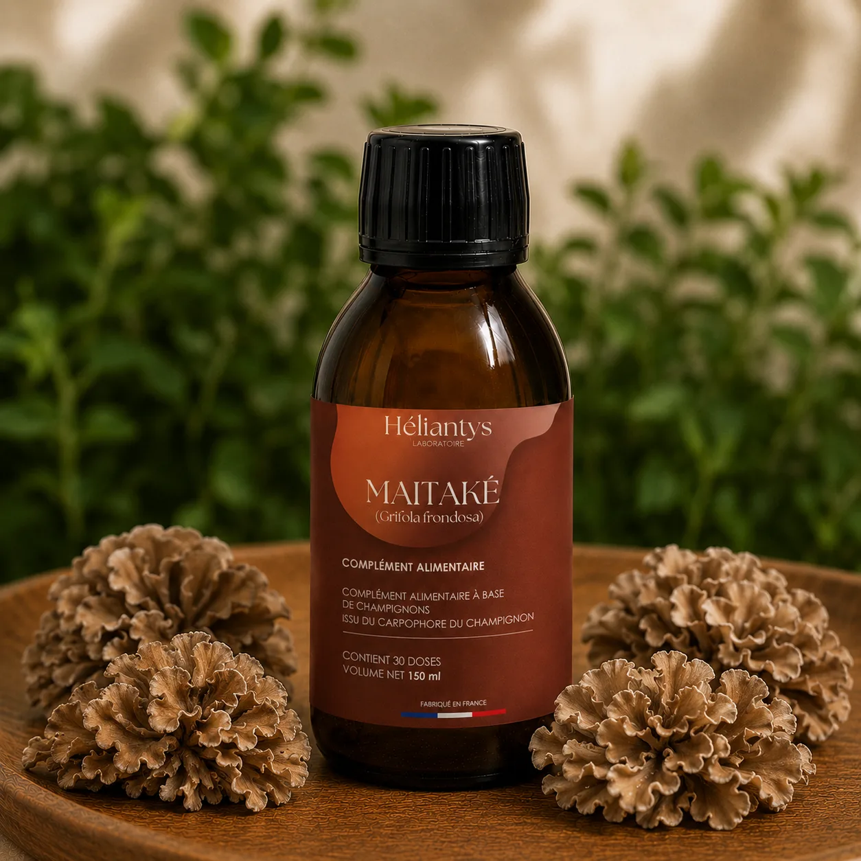 Maitake : le champignon de l'équilibre métabolique — vue 1