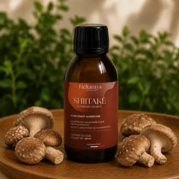 Shiitaké : le champignon de la vitalité et de l'immunité — Besoin de renforcer vos défenses naturelles tout en préservant votre énergie au quotidien ?

Utilisé depuis des siècles dans les traditions asiatiques, le Shiitaké est reconnu pour accompagner les défenses naturelles de l'organisme et soutenir la vitalité. Il constitue un allié précieux lors des périodes de fatigue ou lorsque l'organisme est davantage sollicité.