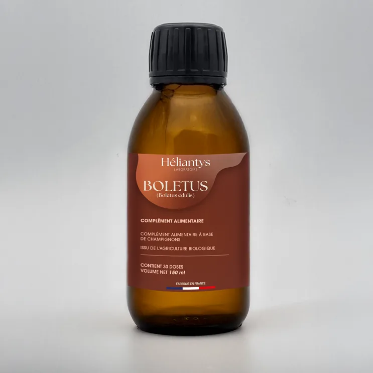 Boletus : le champignon de la vitalité et de la résistance naturelle — vue 2